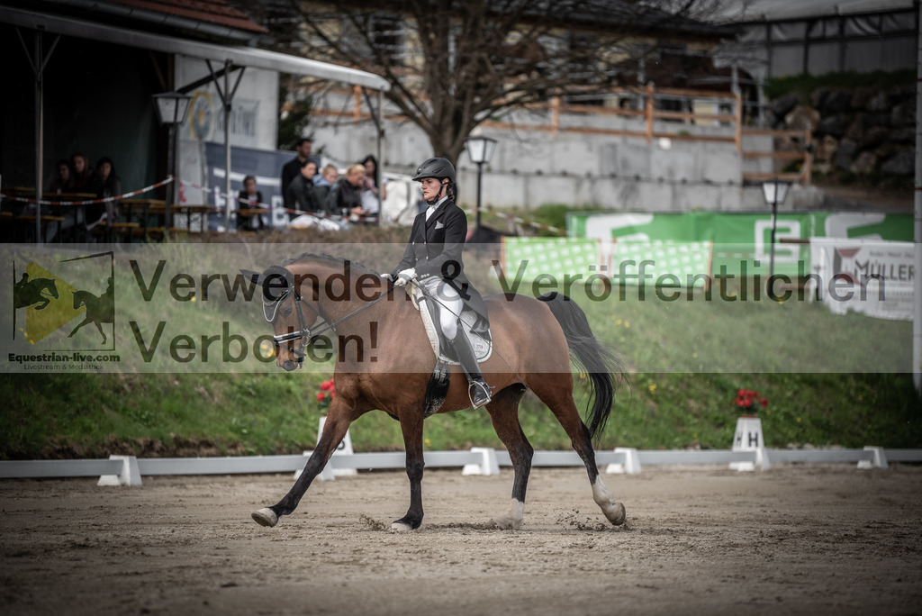 DSC_2200 | equestrian-live-com