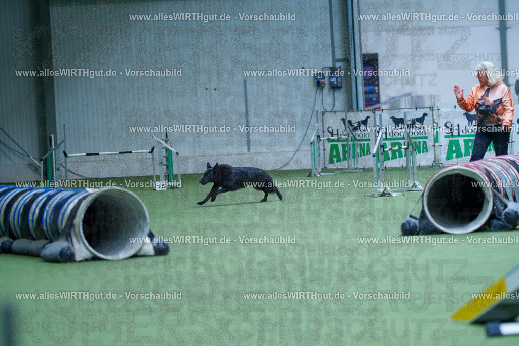 @allesWIRTHgut_Tierfotografie - www.allesWIRTHgut.de - 2604251346-7R503980 | Professionelle Tierfotografie in Mönchengladbach von Daniel Wirth (allesWIRTHgut). Liebevolle & natürliche Bilder von Hunden & Katzen für unvergessliche Erinnerungen.