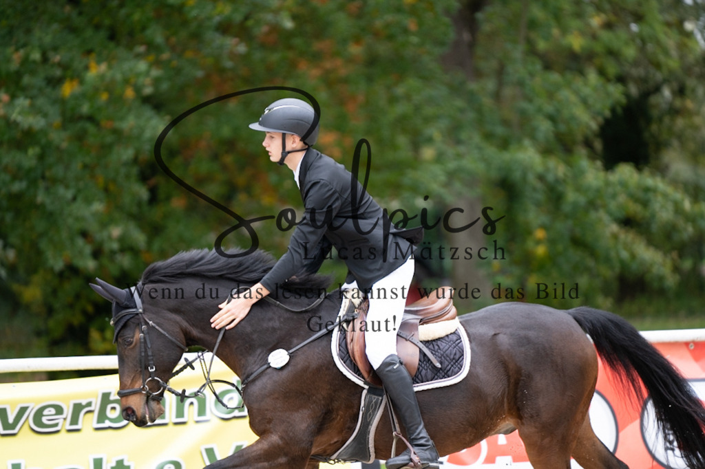 A7V08146 | Pferdefotograf