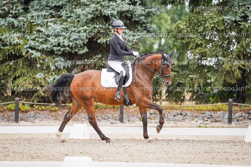 DSC02659 | Pferdegrafie