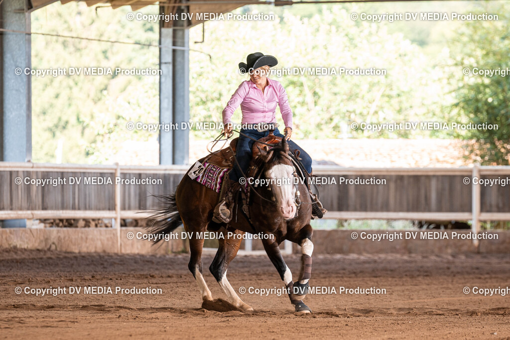 Erbach Tag 2-0977 | dv-media-shop - Realisiert mit Pictrs.com