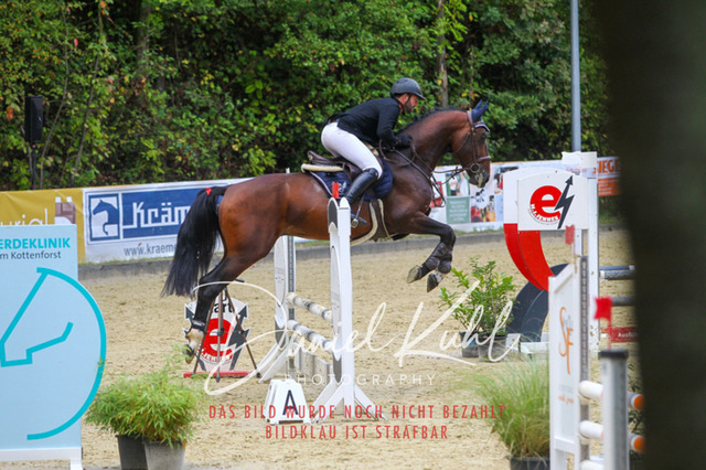 DKP40311 | Turniersportfotografie; Pferdefotografie; Dressurfotografie