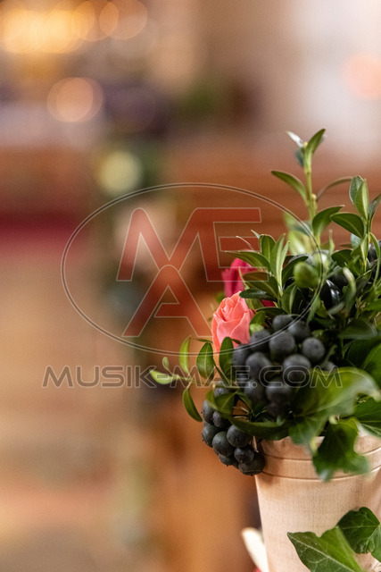 MAE-pic_1 159 | Der online Fotoshop des Inzeller Fotografen MAE - Marc Anton Eicher. Hier können Sie ihre Fotos und Stockfotos online bestellen als Download oder als Ausdruck, der ihnen bequem nach Hause geschickt wird.
Ihr Marc Anton Eicher - der Inzeller Fotograf - Realisiert mit Pictrs.com