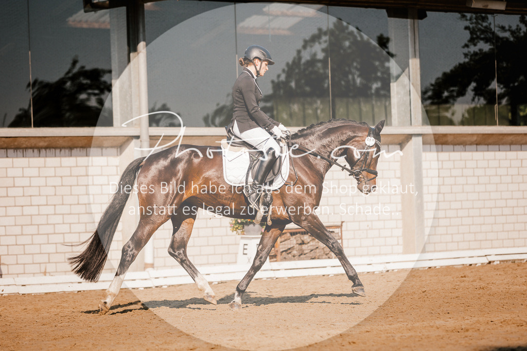 3I6A8888 | Stimmungsvolle Portraits und Reitsportfotografie im Ruhrgebiet und im Münsterland.

Pferdefotografie, Hundefotografie, Tierfotografie, Reportagen, Portraits von Tier und Mensch, Turnierfotografie in Bochum, Recklinghausen, Marl, Haltern am See, Dülmen.. - Realisiert mit Pictrs.com