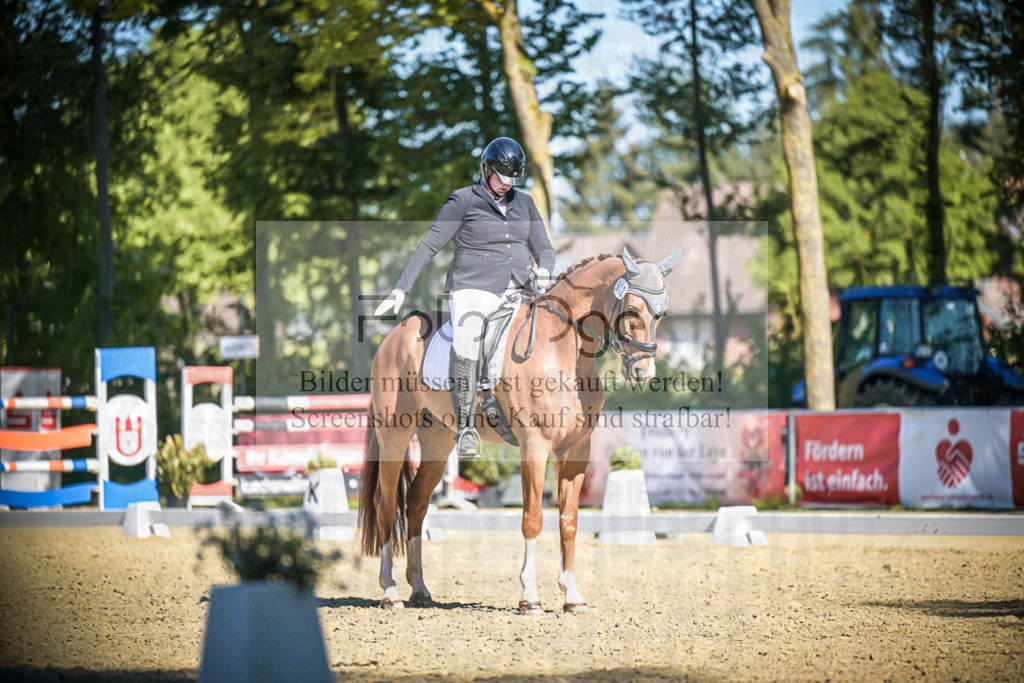 DOS_6593 | Entdecke hochwertige Reitturnierfotos von Foto Oger. Professionell, emotional und authentisch – jetzt Lieblingsmomente im Shop bestellen.Deutschlandweite Turnierfotografie. - Realisiert mit Pictrs.com