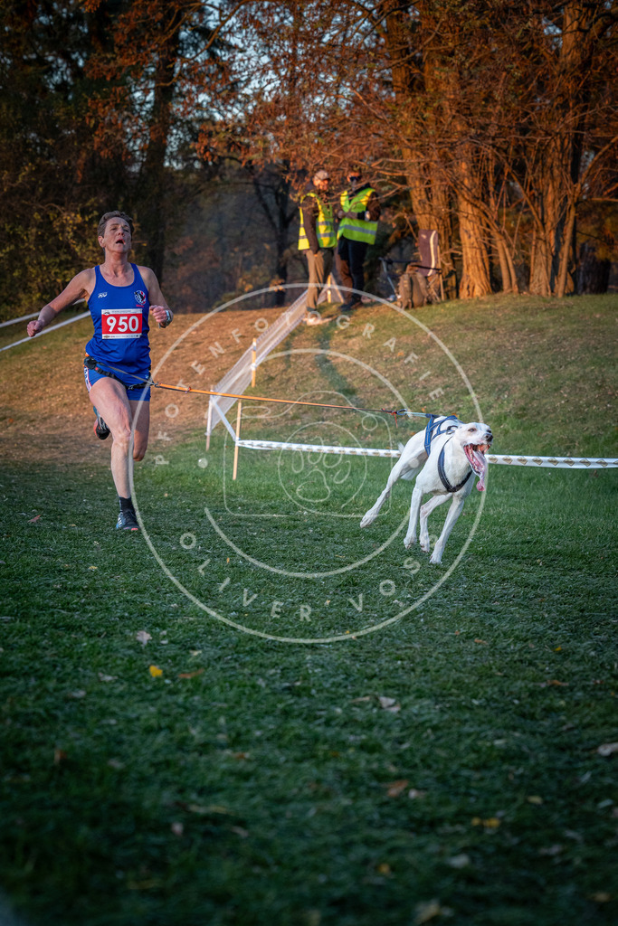 CaniXpix_0L8A2056 | Hundefotografie, Tierfotograf, Pfotenfotografie, Fotoshooting Hund, Hunde Portrait, Hundesport, Hundeportraits, Heideshooting, Hunde, Sportfotograf, Hundefotograf, Turnierhundsport, THS,  - Realisiert mit Pictrs.com