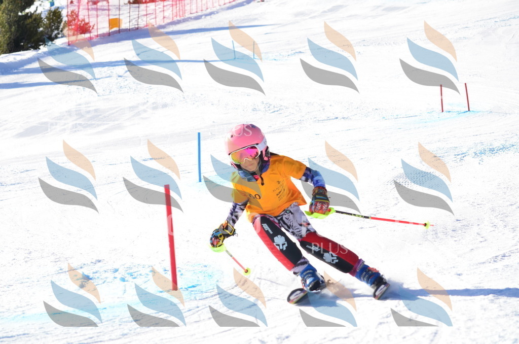 C5789 | holidayphoto