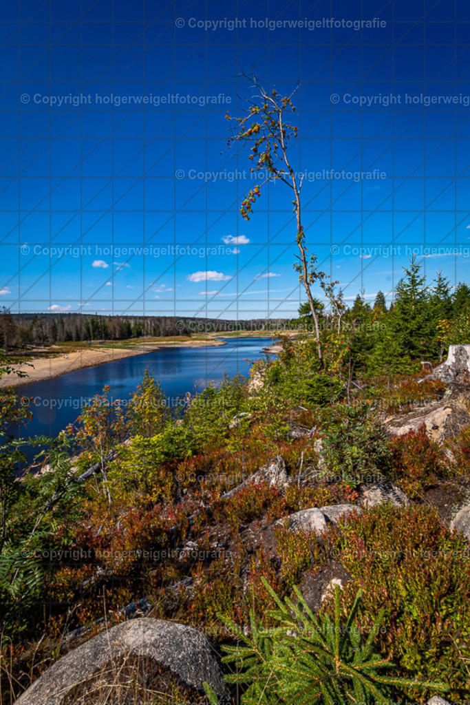 Oderteich | Kaufen sie online außergewöhnliche Fotografien auf Leinwand Acrylglas Fotoprint Aludibond von holgerweigeltfotografie - Realized with Pictrs.com