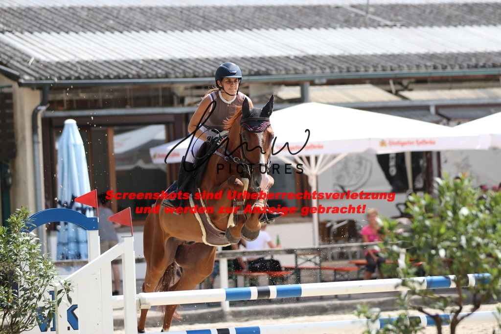 IMG_0424 | lmwpictures - Realisiert mit Pictrs.com