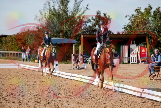 2026_10_03_Siefer-Hof_132909_Z63_91071132 | Professionelle Reitsport-, Turnier- und Eventfotografie von Robert Broda. Galerien mit ausgewählten und bearbeiteten Bildern direkt online ansehen und bestellen.