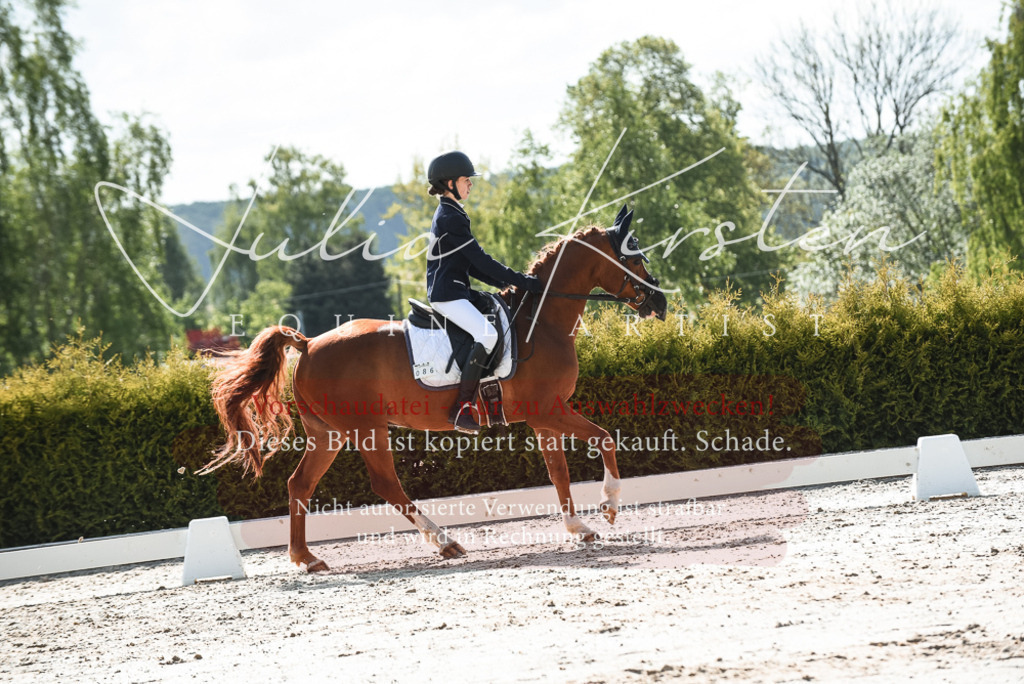 20230518_JK-Röhrsdorf-09-1514 | Pferde- und Turnierfotografie in Westsachsen. Pferdeportraits, Auftragszeichnungen und intuitive Kunst.
