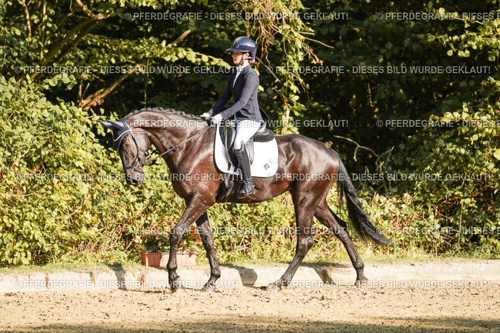 DSC06021 | Pferdegrafie