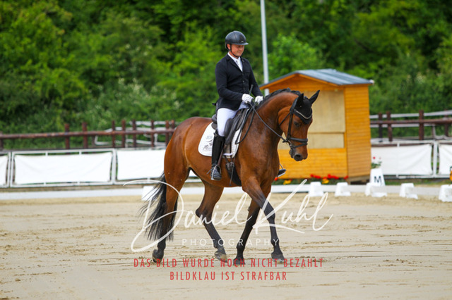 DKP46148 | Turniersportfotografie; Pferdefotografie; Dressurfotografie