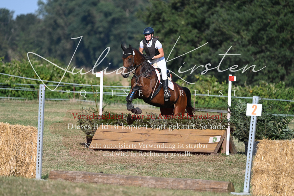 DSC_9025 | Pferde- und Turnierfotografie in Westsachsen. Pferdeportraits, Auftragszeichnungen und intuitive Kunst.