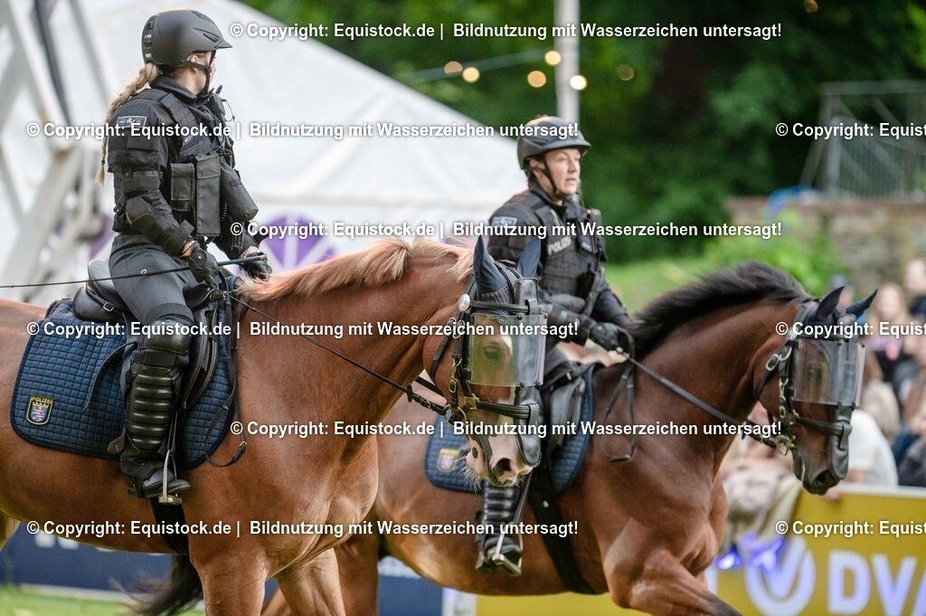 20250606_Lange-Pferdenacht_0734 | Foto: Thomas Hartig