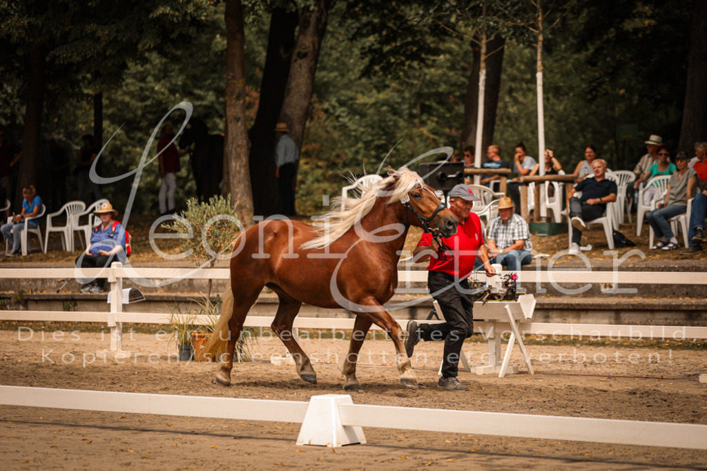 5.Sa00038 | Leoni Ertmer Photography - Realisiert mit Pictrs.com