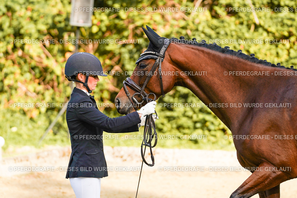 DSC05152 | Pferdegrafie