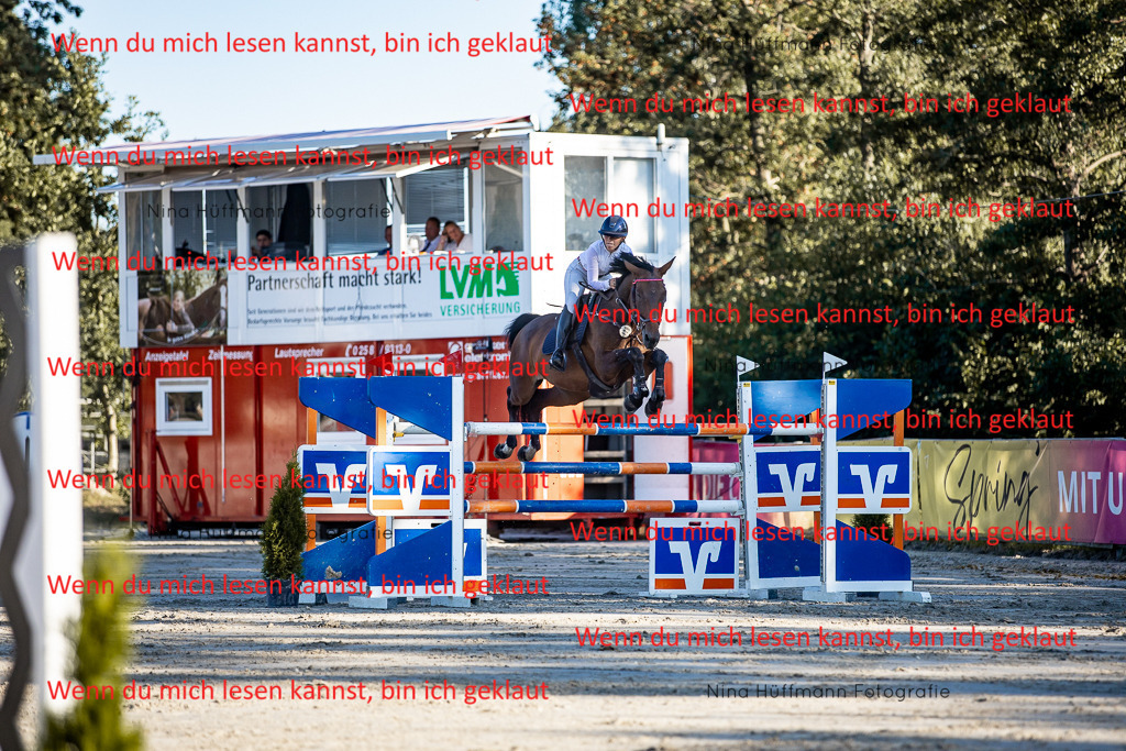 BK1A8407 | Turnierbilder Turnierfotos Nina Hüffmann Turnierfotografie Pferdefotografie Tierzeichnung Haustierzeichnung Pferdezeichnung Hundezeichnung Videograf  - Realisiert mit Pictrs.com