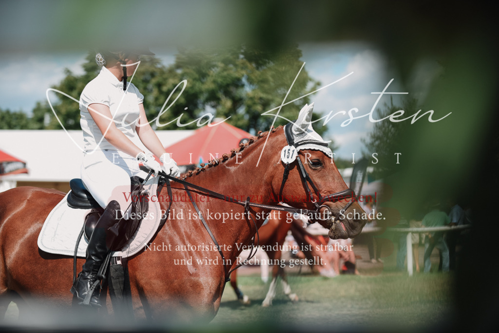 DSC_5769 | Pferde- und Turnierfotografie in Westsachsen. Pferdeportraits, Auftragszeichnungen und intuitive Kunst.