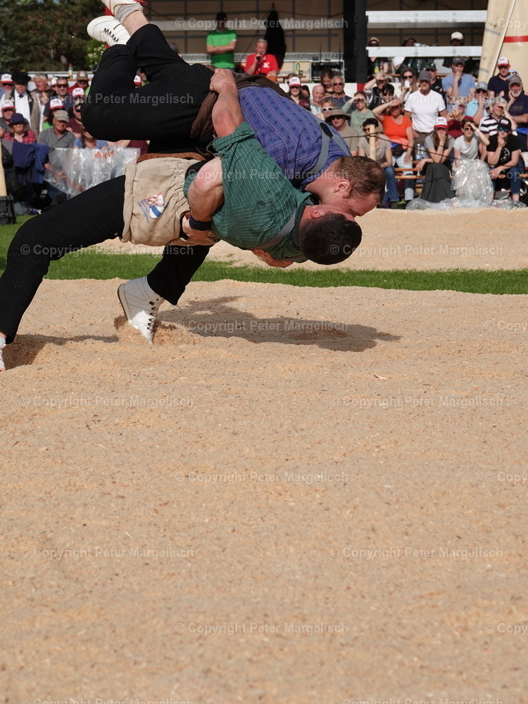DSC06447 | Schwingen - Realisiert mit Pictrs.com