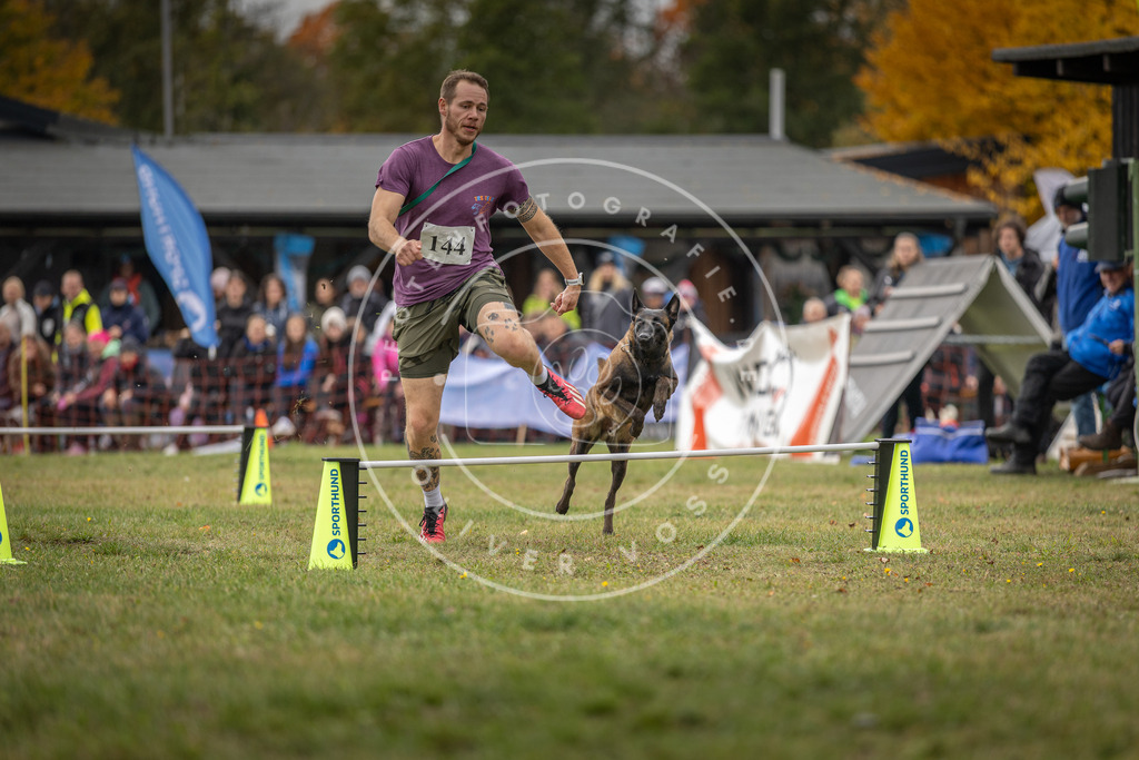 Pfotenfotografie_DV3A7809 | Hundefotografie, Tierfotograf, Pfotenfotografie, Fotoshooting Hund, Hunde Portrait, Hundesport, Hundeportraits, Heideshooting, Hunde, Sportfotograf, Hundefotograf, Turnierhundsport, THS,  - Realisiert mit Pictrs.com
