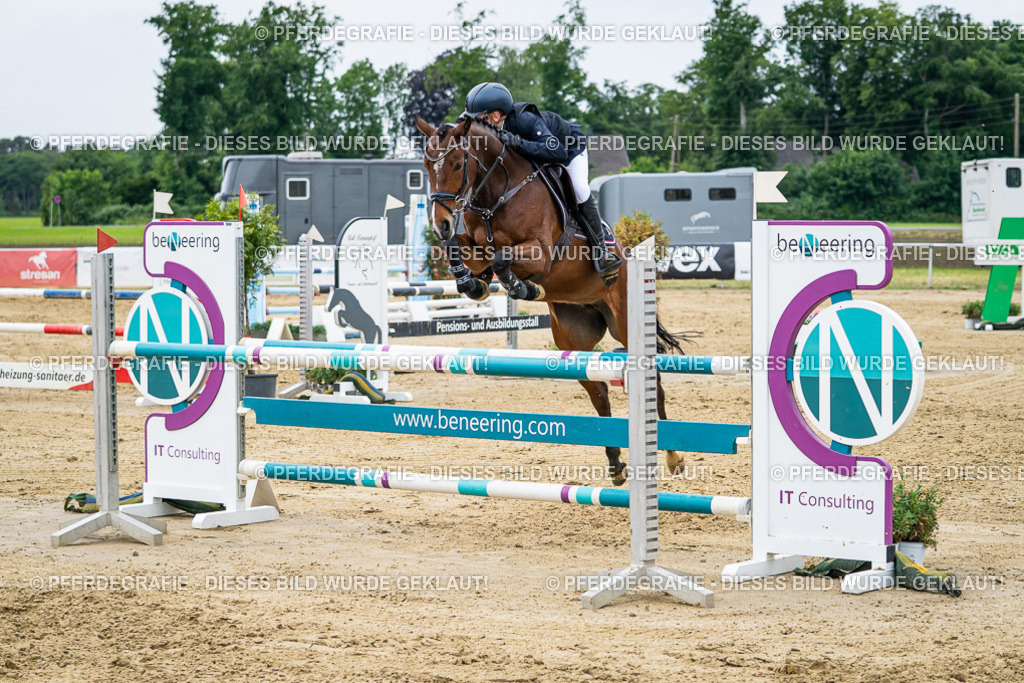 DSC06372 | Pferdegrafie