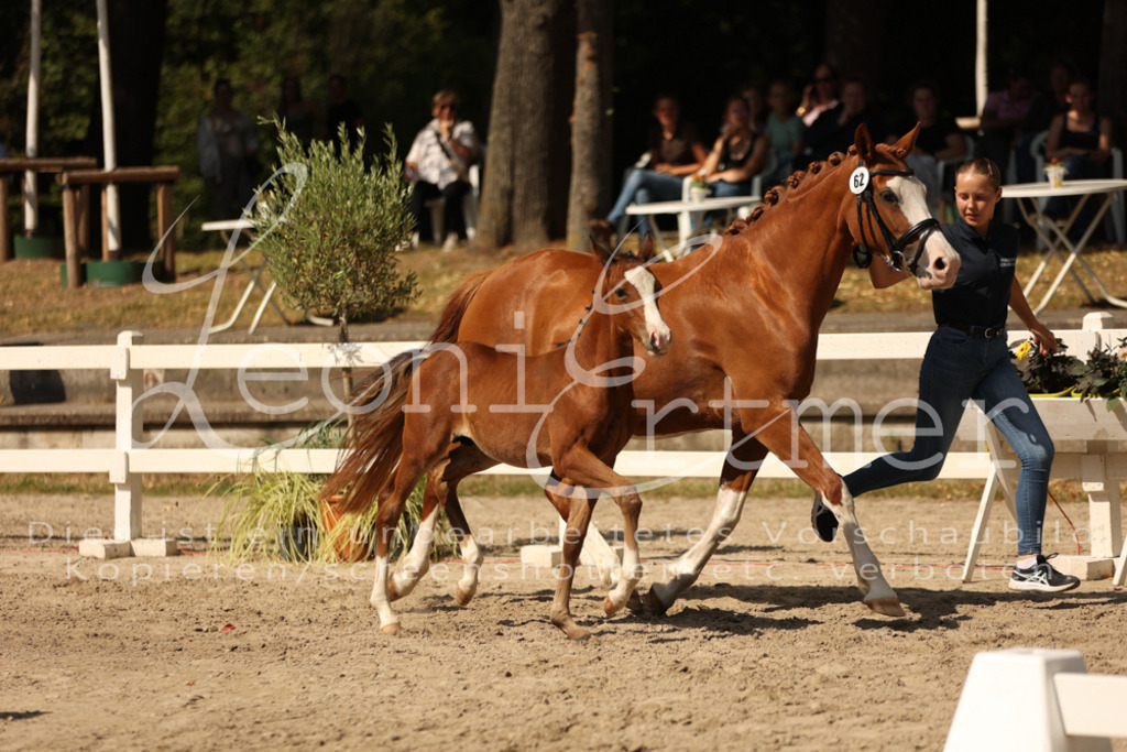 08.DoRPS00072 | Leoni Ertmer Photography - Realisiert mit Pictrs.com