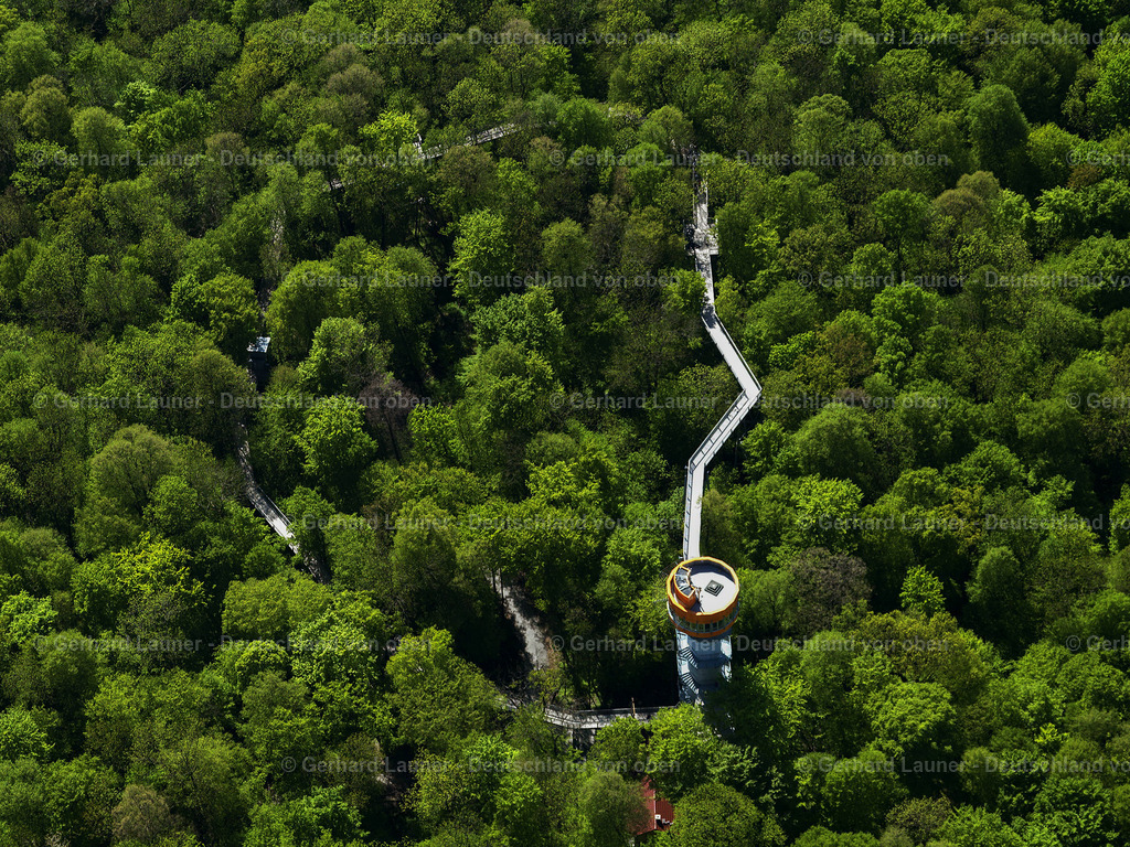 2801333 | Baumkronenpfad Hainich Nationalpark
