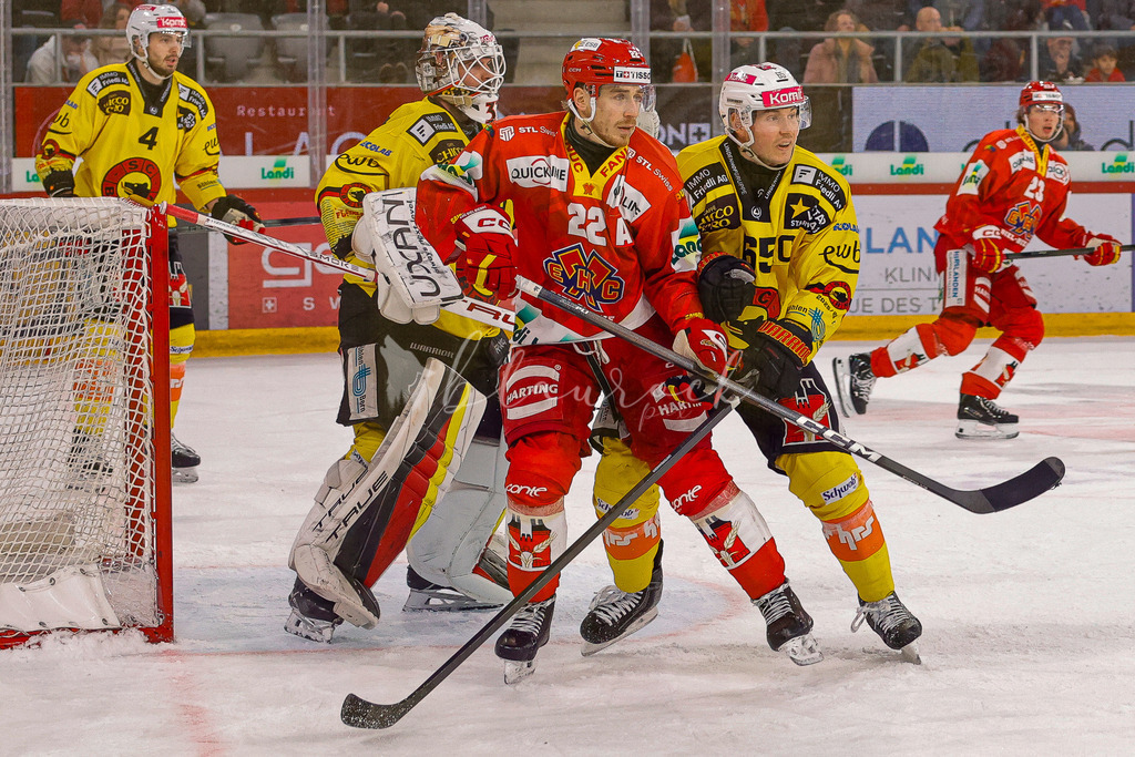 EHCB vs SCB 20260110_wb-3861 | Sportbilder, Sportfotograf, Hochzeits- und Eventfotografin, Flugshows, Portraits und Tiershooting, Aviation, Downhill, Nationalleague, Swissleague, International