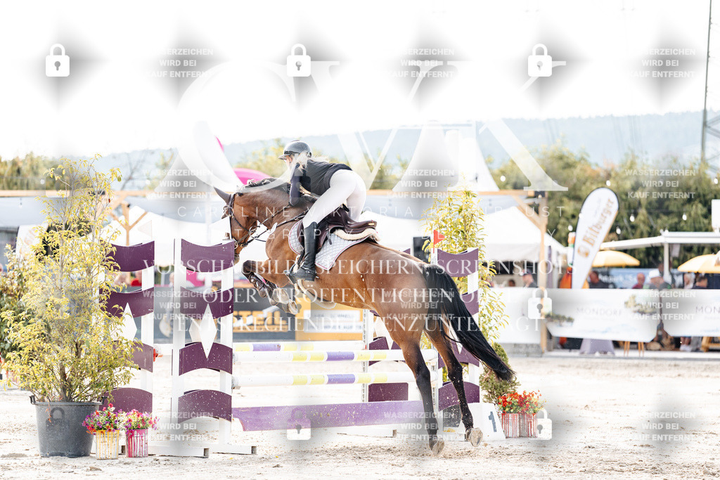 CK906748 | Turnierfotografie Pferdefotografie Trier Rheinland-Pfalz Pferdesport Reitsport Tierfotografie Sportfotografie Pferdevideo Pferdevideografie Equestrianvideography equestrianphotography  - Realisiert mit Pictrs.com