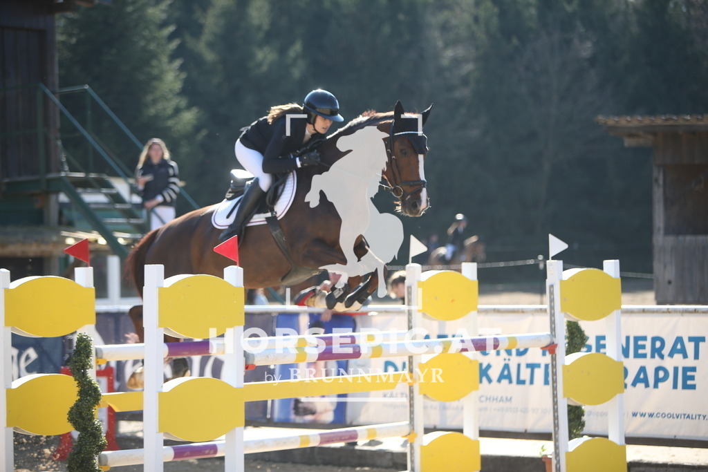 PP015701 | Willkommen bei Brunnmayr - Design & Fotografie – Ihrem Spezialisten für Reitturniere und Pferdeveranstaltungen in Oberösterreich, Salzburg und Bayern! Seit über 17 Jahren sind wir leidenschaftlich dabei.