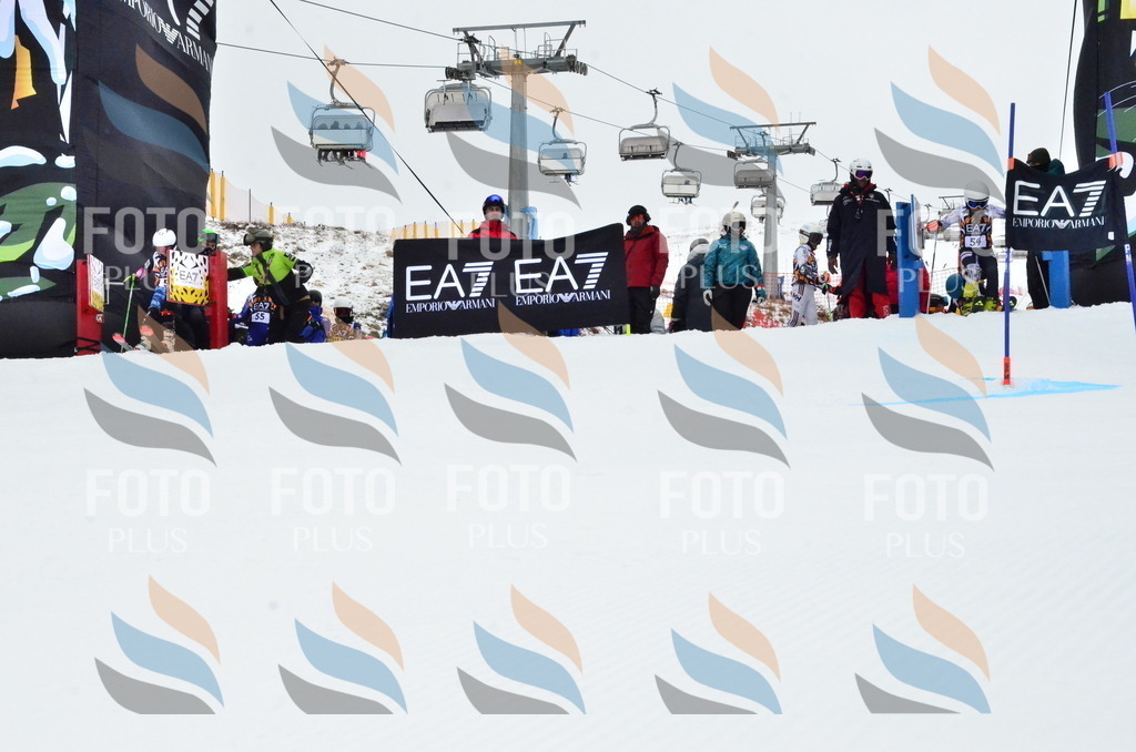 _ELE3398 | holidayphoto