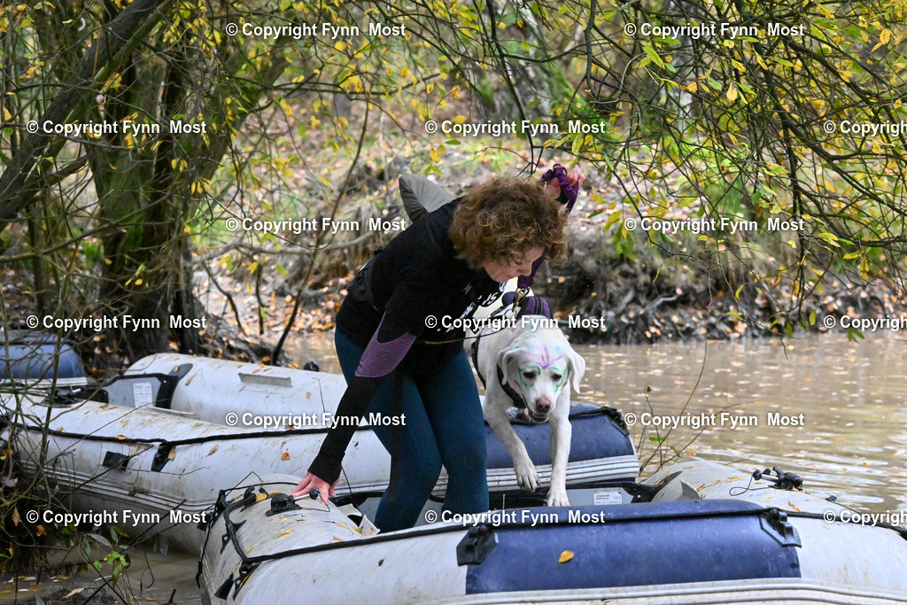 DSC_5973 | Hallo und herzlich Willkommen auf meiner Shop-Seite Fynn Most.

Ich wünsche Dir viel Spaß beim stöbern durch die Bilder, wenn Du Fragen hast oder Bilder vermisst, kannst du mir gerne eine Nachricht schreiben. - Realisiert mit Pictrs.com