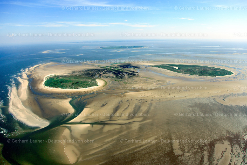 3090403 | Nigehörn,Scharhörn Nationalpark Hamburgisches Wattenmeer