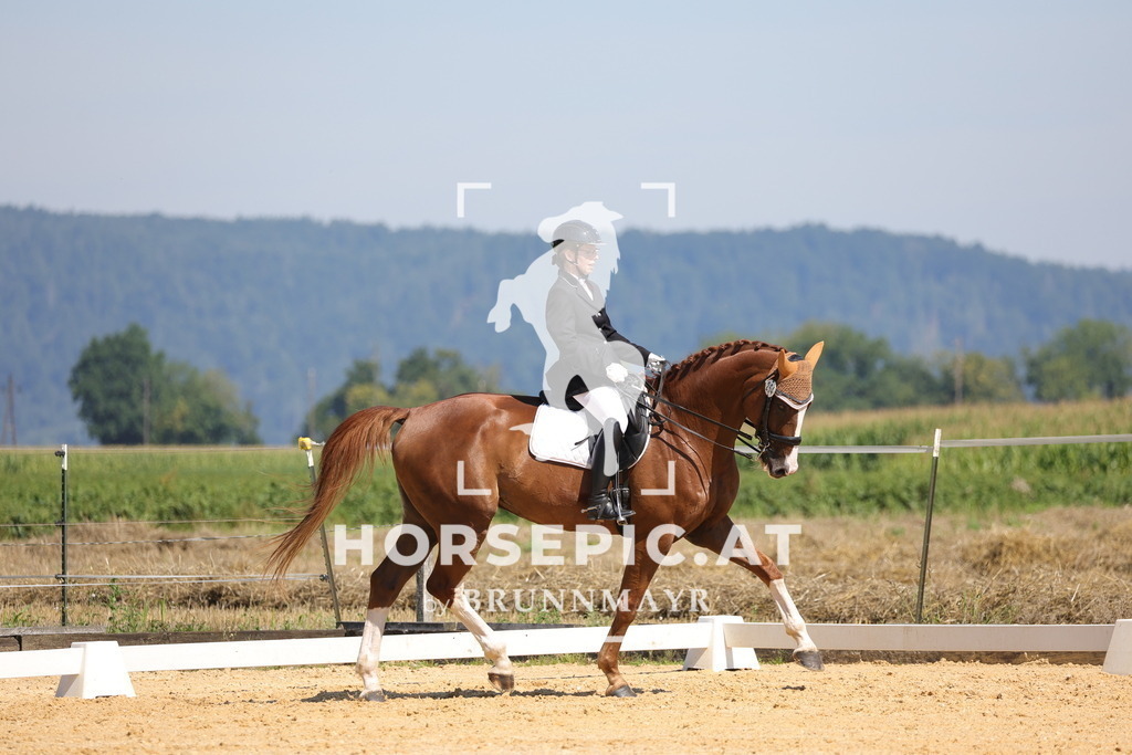 0P6A9552 | Willkommen bei Brunnmayr - Design & Fotografie – Ihrem Spezialisten für Reitturniere und Pferdeveranstaltungen in Oberösterreich, Salzburg und Bayern! Seit über 17 Jahren sind wir leidenschaftlich dabei.