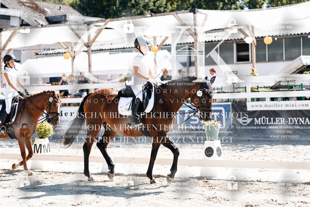 CK902405 | Turnierfotografie Pferdefotografie Trier Rheinland-Pfalz Pferdesport Reitsport Tierfotografie Sportfotografie Pferdevideo Pferdevideografie Equestrianvideography equestrianphotography  - Realisiert mit Pictrs.com
