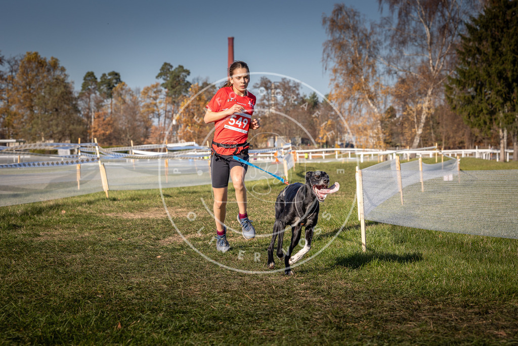 CaniXpix_0L8A7626 | Hundefotografie, Tierfotograf, Pfotenfotografie, Fotoshooting Hund, Hunde Portrait, Hundesport, Hundeportraits, Heideshooting, Hunde, Sportfotograf, Hundefotograf, Turnierhundsport, THS,  - Realisiert mit Pictrs.com