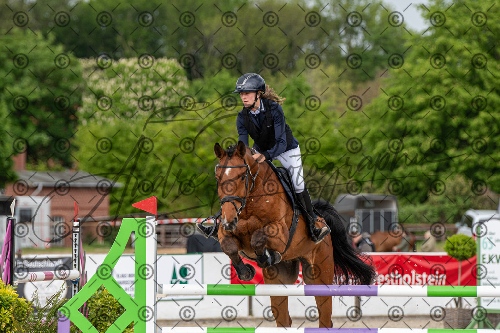 KPT_9897 | andre_photographic