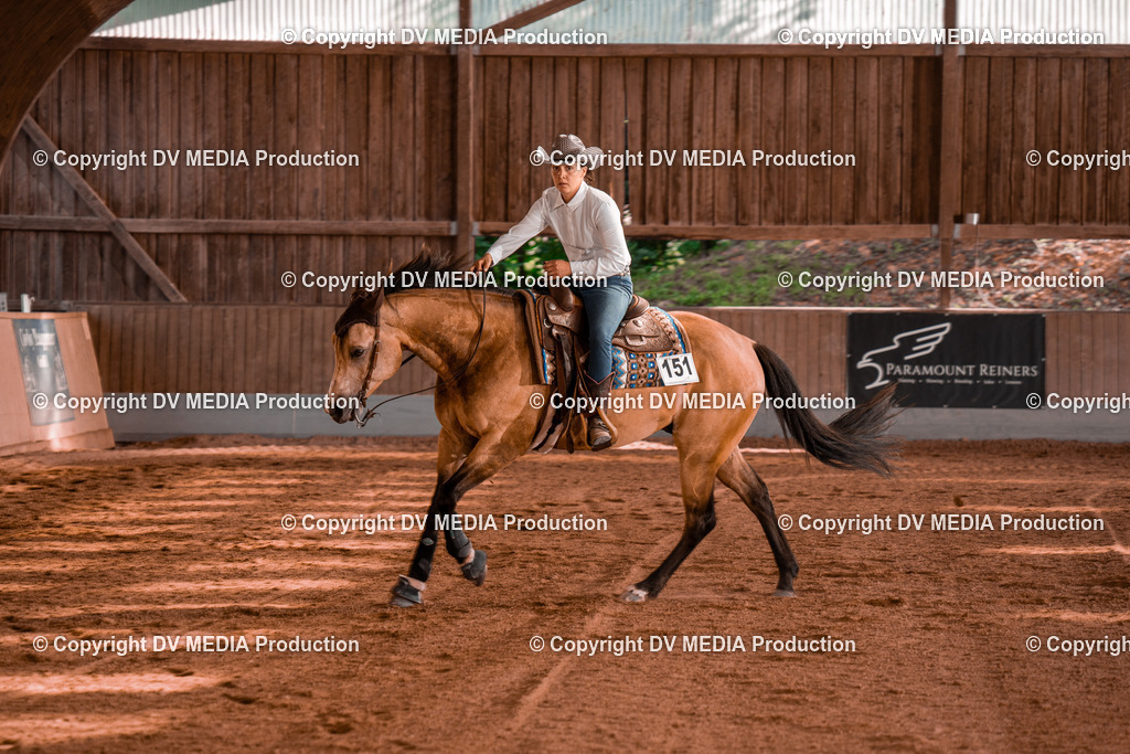 NE201217 | dv-media-shop - Realisiert mit Pictrs.com