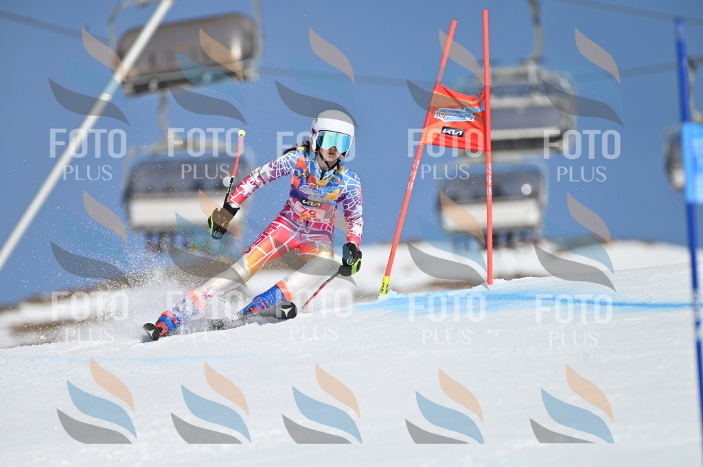 BGV_9027 | holidayphoto