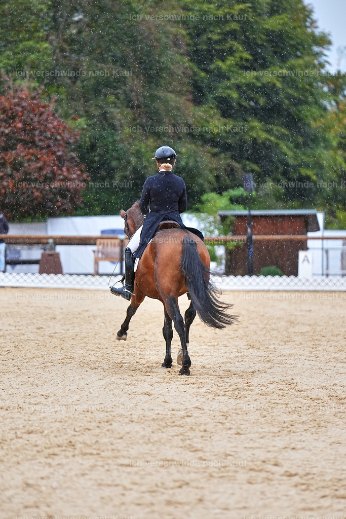 8_1-001-Klasse S_  -Marixx-4321 | working equitationturnier fotograf videograf stoibphotography marixx film working equitation deutschland reitsport turnierfotografie eventfotografie equestrian events