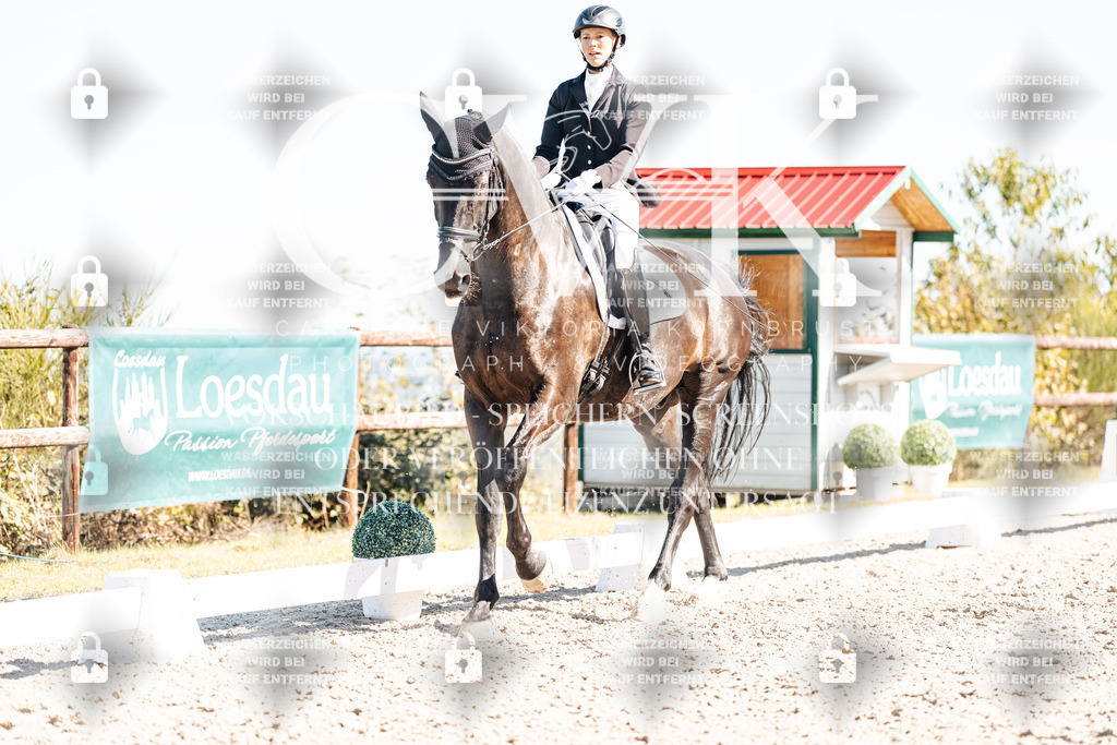 CK908905 | Turnierfotografie Pferdefotografie Trier Rheinland-Pfalz Pferdesport Reitsport Tierfotografie Sportfotografie Pferdevideo Pferdevideografie Equestrianvideography equestrianphotography  - Realisiert mit Pictrs.com