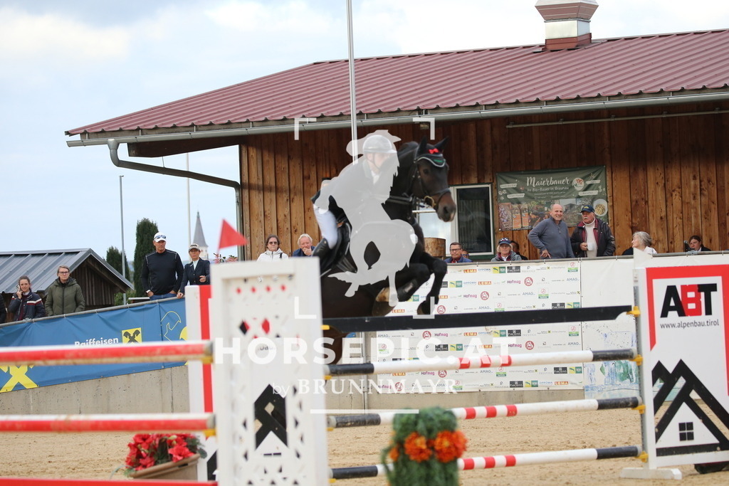 DL2Q5736 | Willkommen bei Brunnmayr - Design & Fotografie – Ihrem Spezialisten für Reitturniere und Pferdeveranstaltungen in Oberösterreich, Salzburg und Bayern! Seit über 17 Jahren sind wir leidenschaftlich dabei.