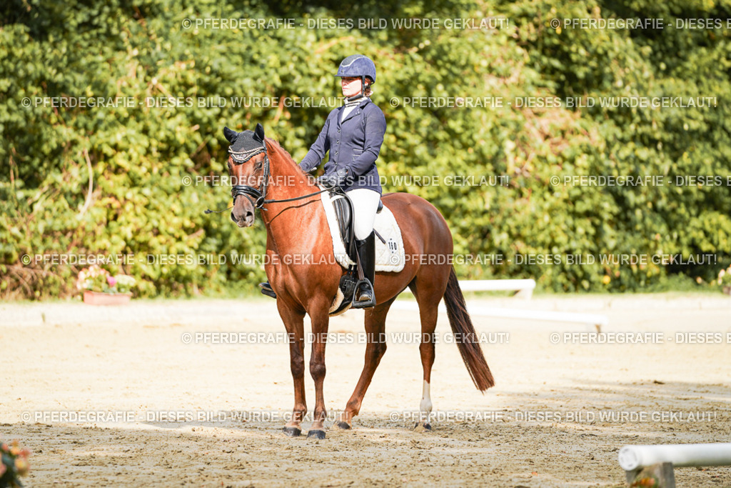 DSC02194 | Pferdegrafie