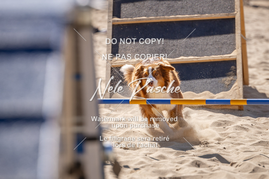 NR__0795 | nelerasche