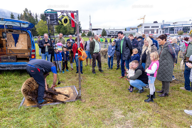 SchaZie Tag | Bildershop von pixelworld.at - Realisiert mit Pictrs.com