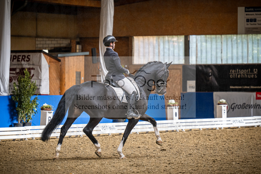 DOS_2507 | Entdecke hochwertige Reitturnierfotos von Foto Oger. Professionell, emotional und authentisch – jetzt Lieblingsmomente im Shop bestellen.Deutschlandweite Turnierfotografie. - Realisiert mit Pictrs.com