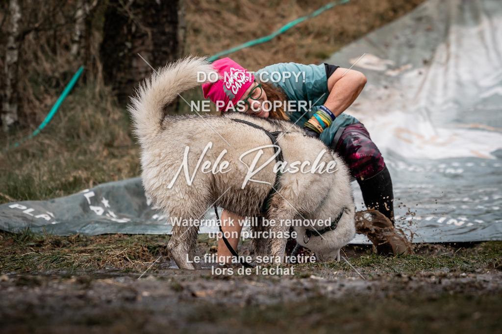 nelerasche_1330-1400_51 | nelerasche