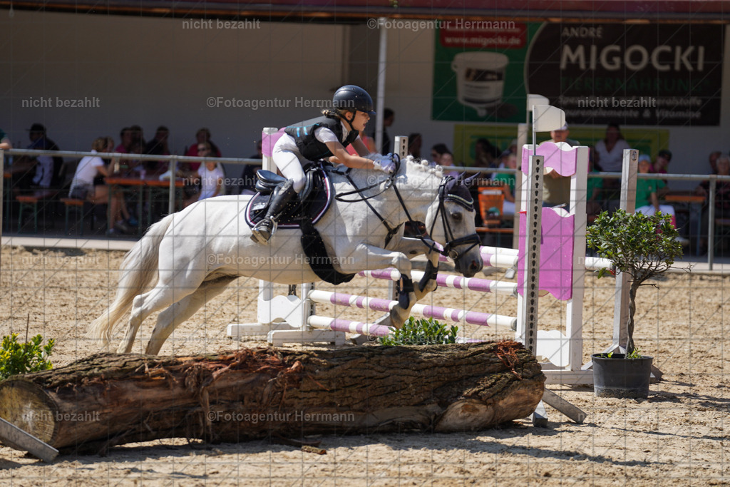 20240824-FAH08076 | Thierhaupten 2024, Bayerisches Landesponyturnier, Turnierbilder, Ponybilder, Turnierfotografen Bayern, Fotoagentur Herrmann