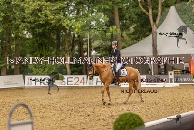 28-8-26 5j DRE-219 | mandyhollmannphotographie